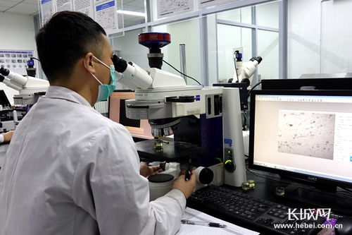 四通新材 防控生產(chǎn)雙驅(qū)動(dòng)，國(guó)內(nèi)外訂單全面恢復(fù)，新材料研發(fā)蓄力未來